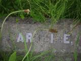 image of grave number 909136